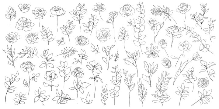 Vector set of one line art flowers, continuous monoline plants, roses, leaves, branches. Blossom logos, minimalist illustration. Simple sketch, black and white. Use as floral icons and logos.