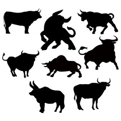bull silhouette on white background