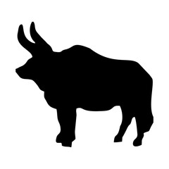 bull silhouette on white background