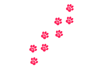 Dog paw print with hearts. love dog symbol heart with cute paw print vector illustration. Valentine's day greeting card with hearts and vector foot trail print of cat. Dog, puppy.