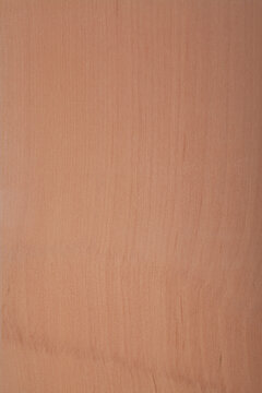 Holzoberfl&auml;che Elsbeere Holzmuster - wild service tree wood