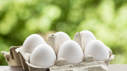 Close up view of half a dozen white eggs in a bowl or egg cup with selective focus and out of focus natural background for copy space. Dozen white eggs in a cardboard egg cup with a green background. - obrazy, fototapety, plakaty