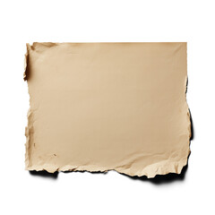 Fototapeta premium brown cardboard isolated