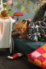 Rudy kot pod kocem w dziecięcym pokoju - obrazy, fototapety, plakaty
