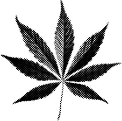 Marijuana weed leaf in halftone dots texture, isolated black and white vector design element