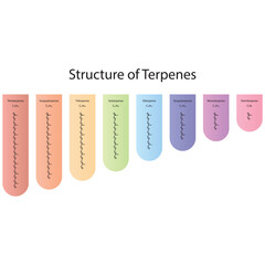 Diagram of Terpenes structure - Hemiterpenes, Monoterpenes, Diterpenes, Tetraterpenes and more - skeletal structure.  - obrazy, fototapety, plakaty