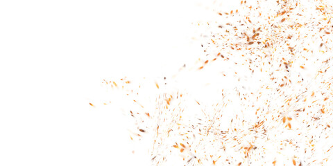 spark from a campfire on a white background. It can be used for backgrounds, wallpapers, or as a design element in graphic design projects