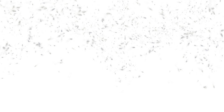 snow on a white background. Perfect for use in website, blog or social media design related to winter themes or holiday events.