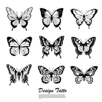 black tattoo designs, types of butterflies