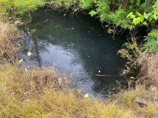 beautiful view of the river in the forest