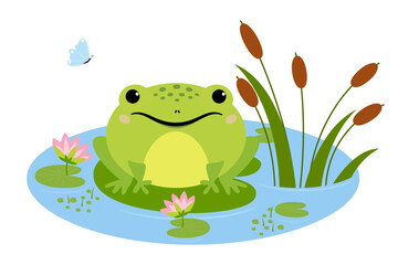 Cartoon frog sitting in pond, cute amphibia. Green toad in natural habitat, froggy water animal in pond with water lilies and butterfly