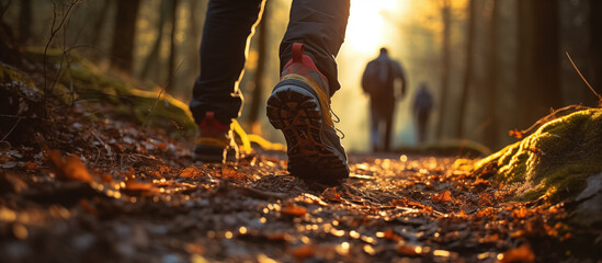 Hiker group walking in forest in sunset light. shoe rear view. 
