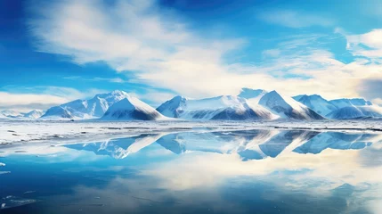 Zelfklevend Fotobehang glaciers antarctic tundra landscape illustration penguins seals, whales icebergs, barren desolate glaciers antarctic tundra landscape © vectorwin