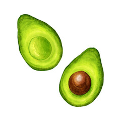 Avocado and half avocado , watercolor painting isolated on white background
