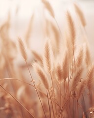 An elegant and minimalist vertical background featuring delicate wheat grass in a soft beige color palette, perfect for creating a serene and stylish aesthetic on social media posts. - obrazy, fototapety, plakaty