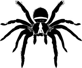 Arizona Blonde Tarantula icon