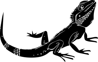  Agama Lizard icon - obrazy, fototapety, plakaty