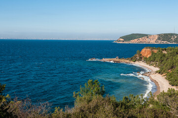 Fototapeta na wymiar Beautiful sea landscape with forest leaves, blue sky and island