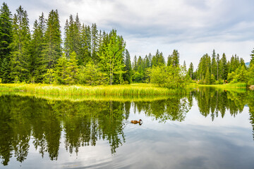 Fototapeta premium Vrbicke glacial lake and the largest natural lake in Low Tatras, Slovakia