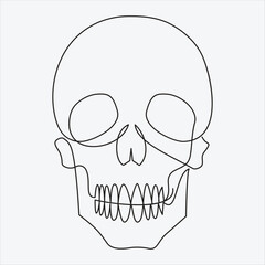 one line hand drawn skull outline vector illustration 