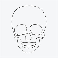 one line hand drawn skull outline vector illustration 
