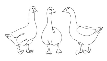 Goose. One line