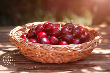 The sweet cherry in wicker plate in summer season outdoors, selective focus. - 692507334