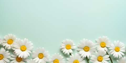 Daisy flowers on pastel background. Creative lifestyle, summer, spring concept. Copy Space.