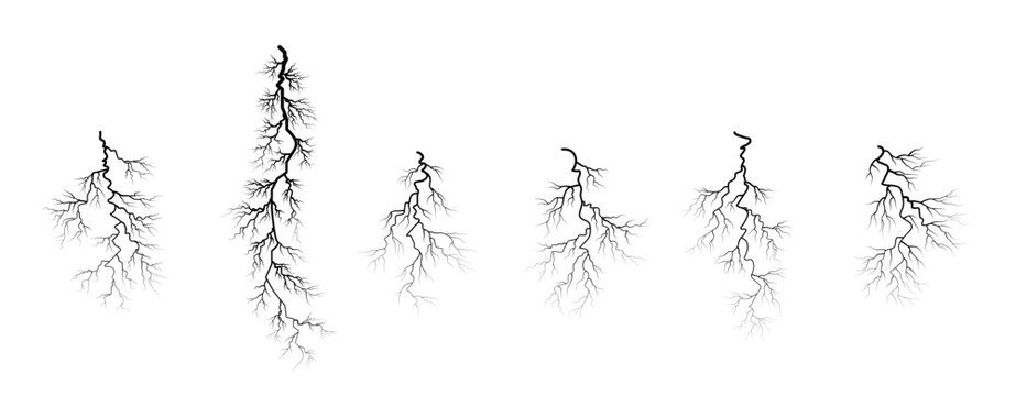 set of different roots, plant root system