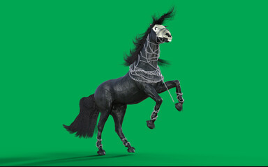 3d Illustration of a fantasy black horse isolated on green screen background. Devil Horse.  © mrjo_7