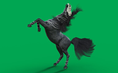 Obraz premium 3d Illustration of a fantasy black horse isolated on green screen background. Devil Horse. 