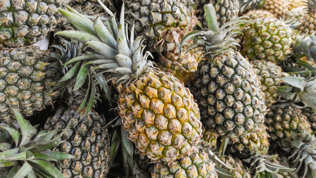 Full frame of pineapple background, showing tropical and juicy fruit in Indonesia.