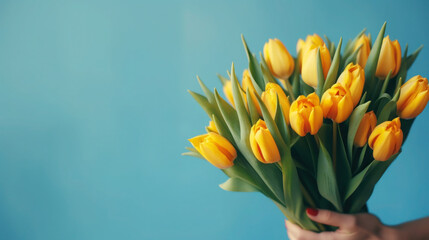 Bouquet of beautiful yellow tulips in female hands on blue background, Copy space