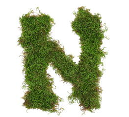 Green moss in shape alphabet letter N isolated on white, clipping path, top view