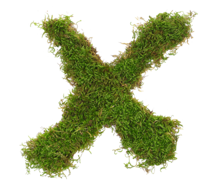 Green moss in shape alphabet letter X isolated on white, clipping path, top view