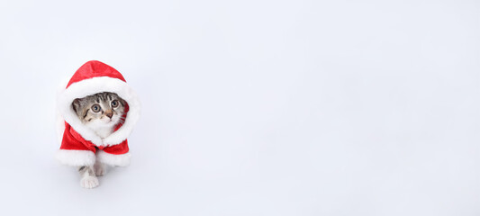 Cat in Santa costume. Christmas Cat card. Kitten on the white background. Little pets. Kitten Santa Claus. Merry Christmas. Happy New Year. Winter. 2024. Tiny kitten