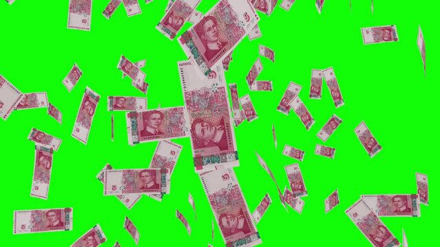5 BULGARIAN LEVA notes falling Green screen