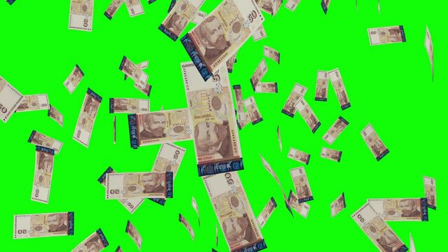 50 BULGARIAN LEVA notes falling Green screen