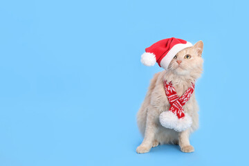 Christmas cat looking shocked or surprised. Studio portrait of a ginger cat wearing Santa Claus xmas red cap looks up. Merry Christmas. Greeting card. Happy New Year. Red Cat with Santa hat. Winter