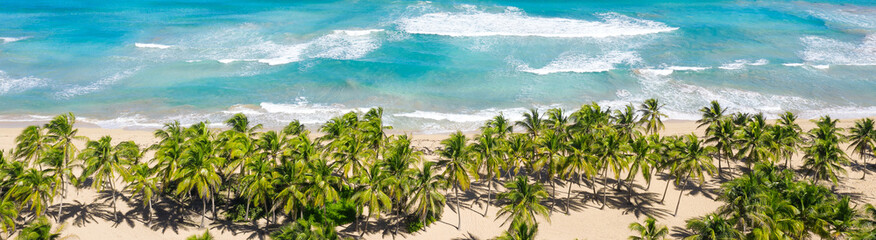 Wild tropical coastline with coconut palm trees and turquoise caribbean sea. Travel destination. Aerial view. Long banner