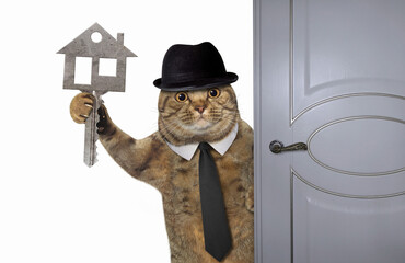 Cat with apartment key near door