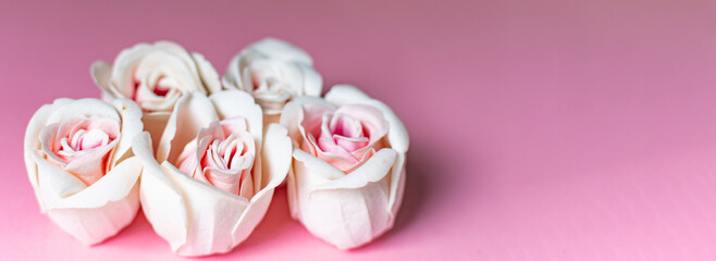 Fototapeta na wymiar Rose flowers on pink background. Valentines day, mothers day, women day, spring concept.