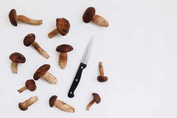 Polish mushroom with a knife for cleaning on a light background. Copy space. Top view. Organic forest food, edible fresh picked Porcini mushroom. Autumn harvest concept. Mushroom picking