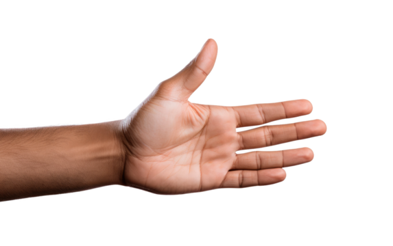 Sophisticated Grace Elegant Hand Movements on a White or Clear Surface PNG Transparent Background