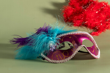 Venetian carnival mask with feathers, and typical elements in the background