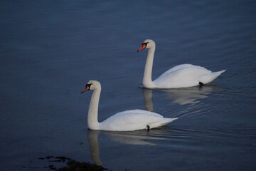 Norwegian Outdoors Stock 2023.12.11 Fladsetoeya 0004