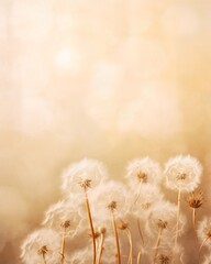 A serene and visually appealing vertical background featuring dandelion fluff, perfect for social media posts. The image is designed with soft pastel colors to evoke a gentle and tranquil mood. - obrazy, fototapety, plakaty