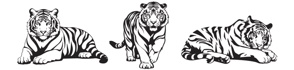 Tuinposter Set of tiger silhouettes in different positions, black and white vector graphics, silhouette laser cutting © Cris