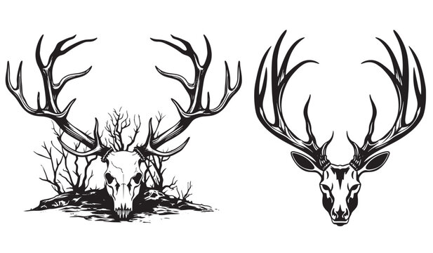 Deer skulls with large antlers, black and white vector graphics, laser cutting, woodcut