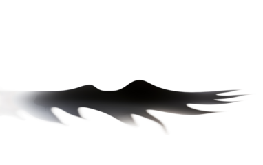 Veil of Dusk Elongated Evening Shadow on a White or Clear Surface PNG Transparent Background